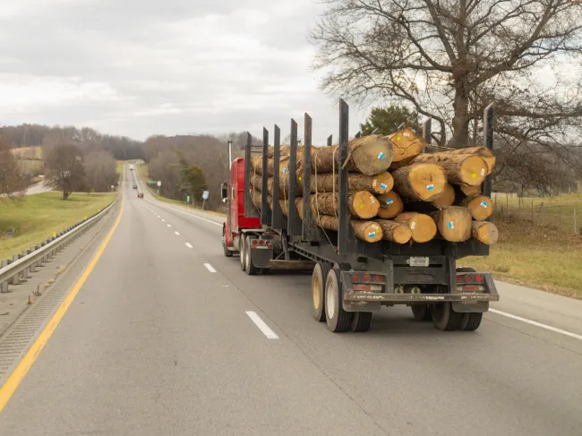 Log roll
